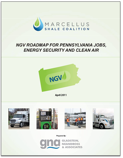 NGV-Roadmap-for-PA_513x660