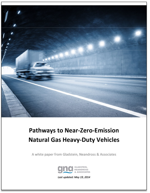 PathwaystoNZEHDNGVs_513x660