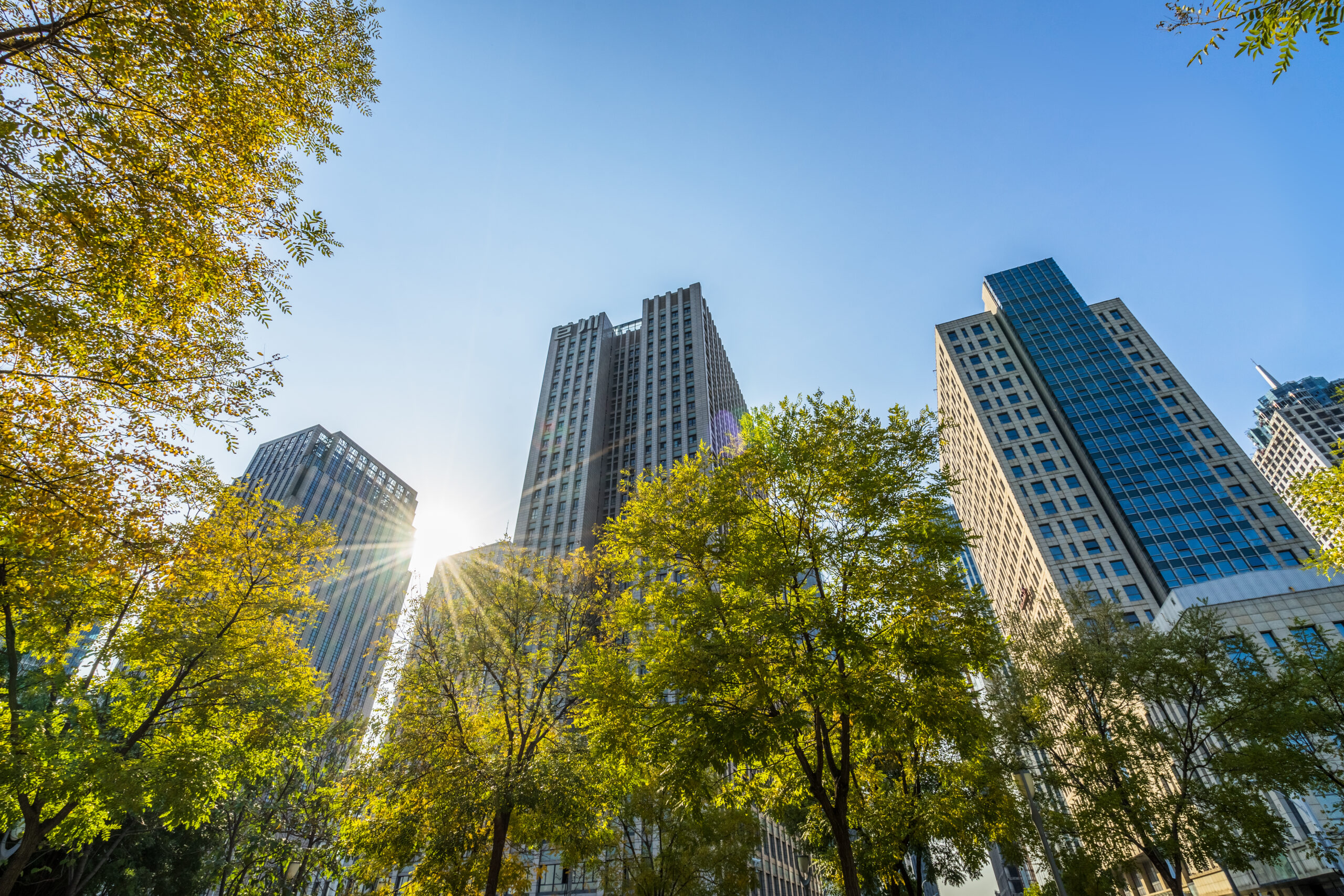 Business-towers-and-Green-leaves-1346119777-scaled
