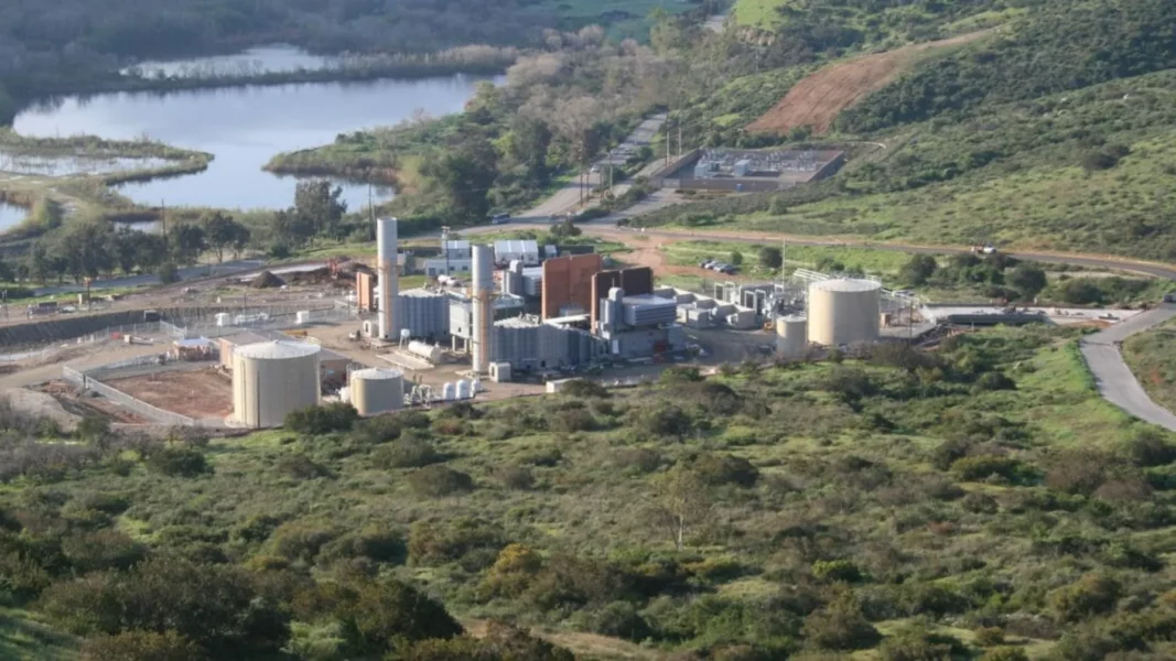 e421c521-orange-grove-1