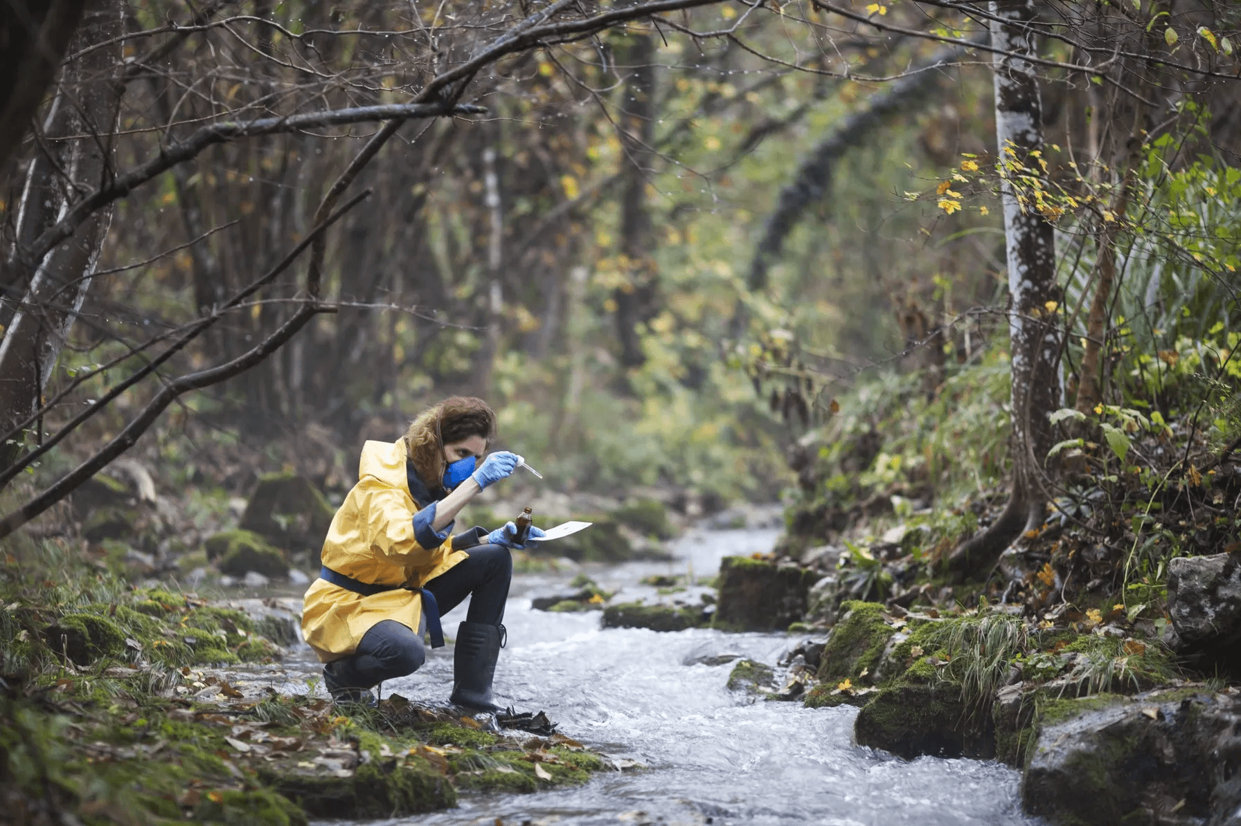 female-environmental-researcher-taking-a-stream-water-sample