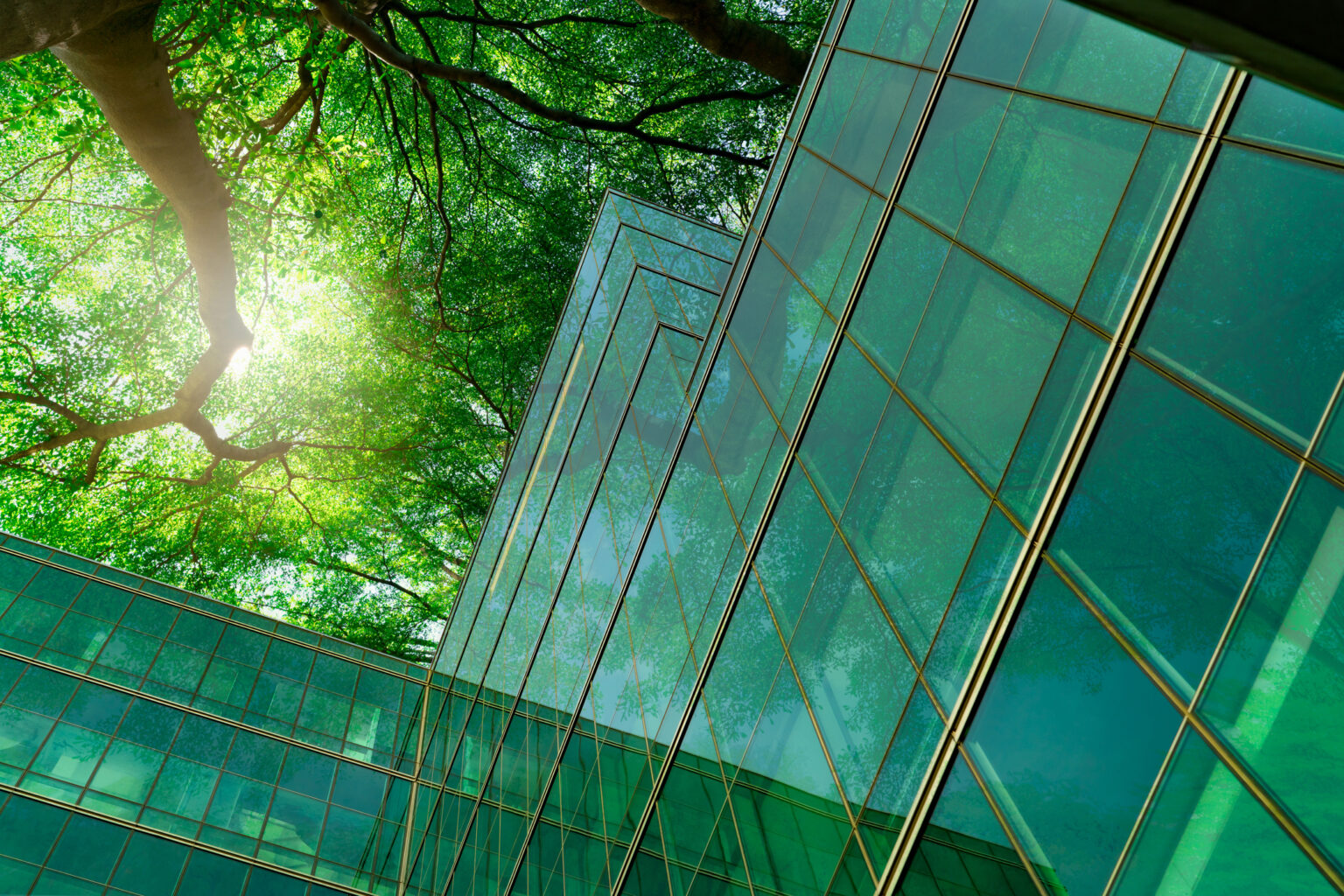 Energy Advisors & Experts Experts & Consultants - TRC Companies