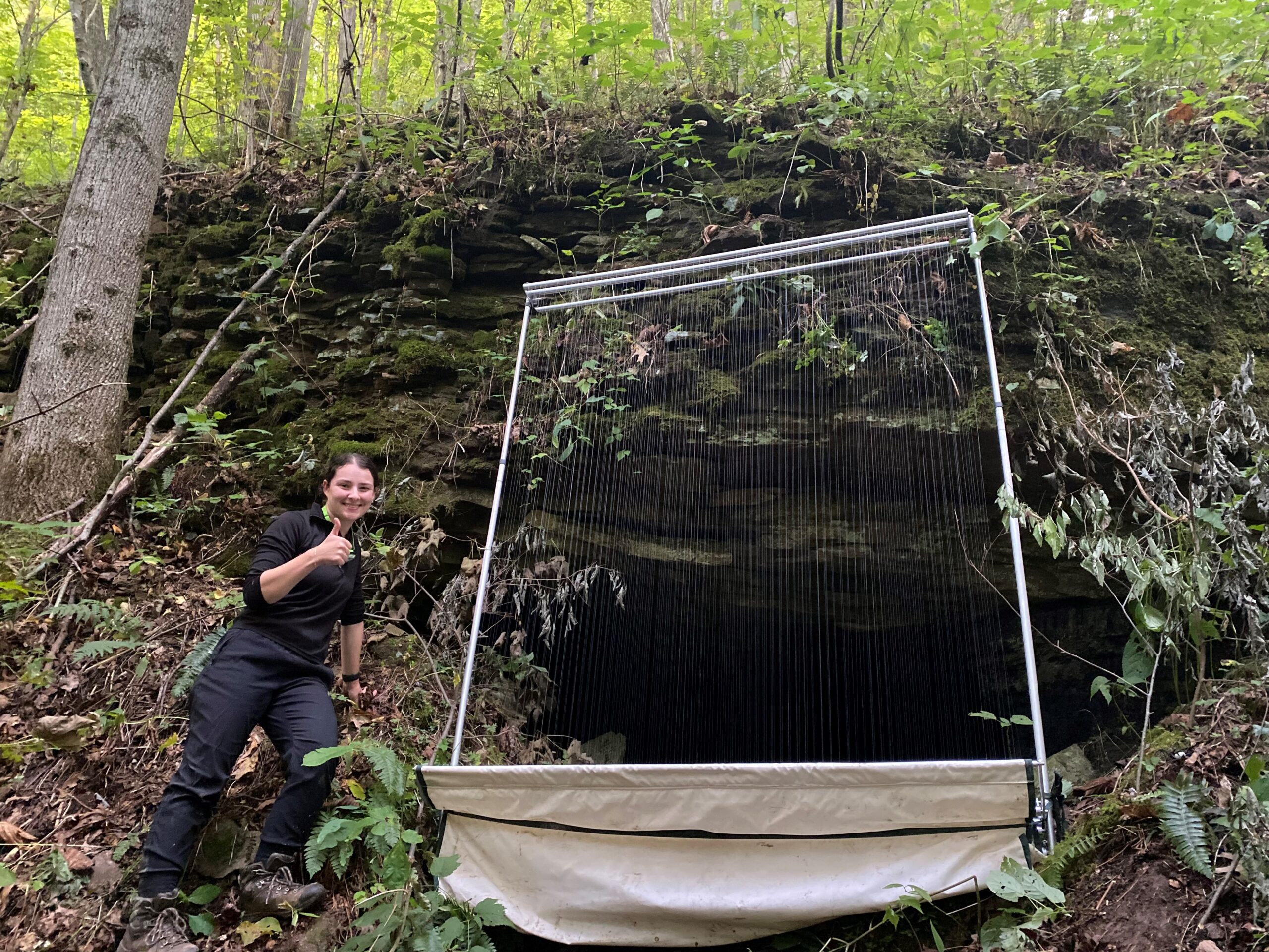 Harp Trap Survey