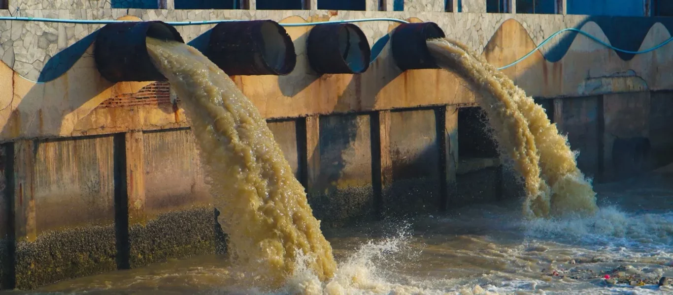 bcf072c8-risk-assessment-toxicology