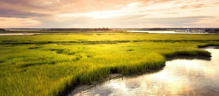 c7cf6777-environmental-site-assessment-2