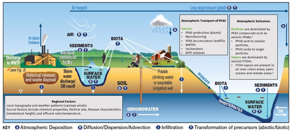 Water cycle illustration showing how the emissions and transported by air, with both particles and vapors: Particles are dominated by
PFAS compounds such as anionic PFAAS. PFOA sorb to smaller particles, PFOS sorbs to larger particles. Vapors are dominated by neutral FTOHs. FTOH vapors are present in air over urban areas, open oceans and remote areas. Key parts of the process are: Atmospheric Deposition, Diffusion/Dispersion/Advection,  Infiltration, Transformation of precursors (abiotic/biotic).