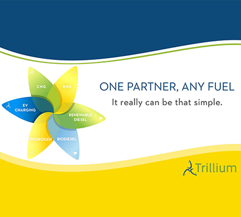 gna-case-study-trillium-communication-brand-strategy-470x424-1