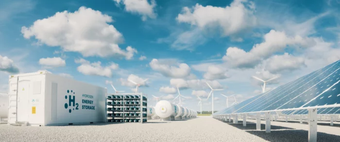 The Future of Decarbonization: Is Hydrogen the Next Big Thing