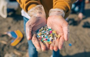 9dd39045-hands-with-microplastics-on-the-beach-1150805328