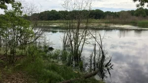 CCR-Groundwater-Compliance-and-Monitoring