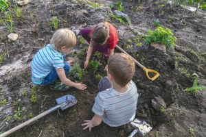 Children_gardening