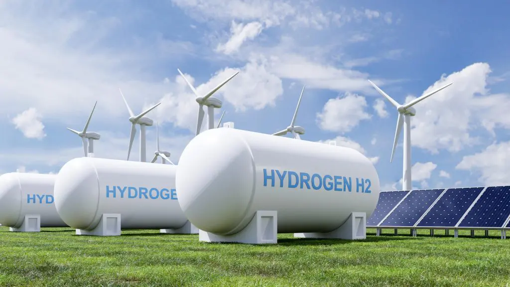 The Future of Decarbonization: Is Hydrogen the Next Big Thing