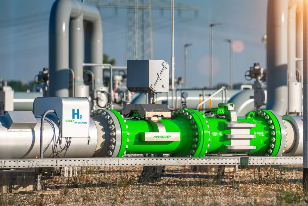 The Future of Decarbonization: Is Hydrogen the Next Big Thing
