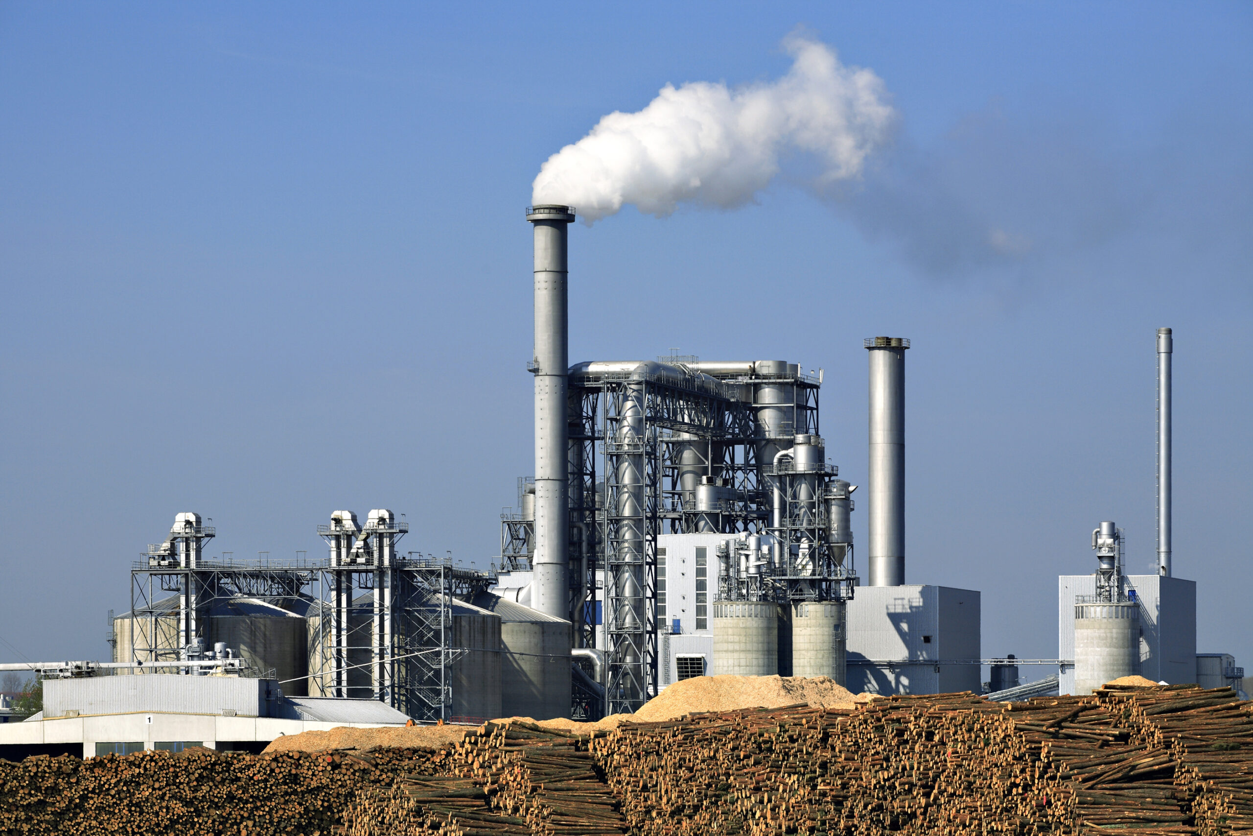 Paper_Factory-157182023-scaled-1