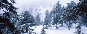 cb5027cd-gettyimages-1203613846-e1678910607307