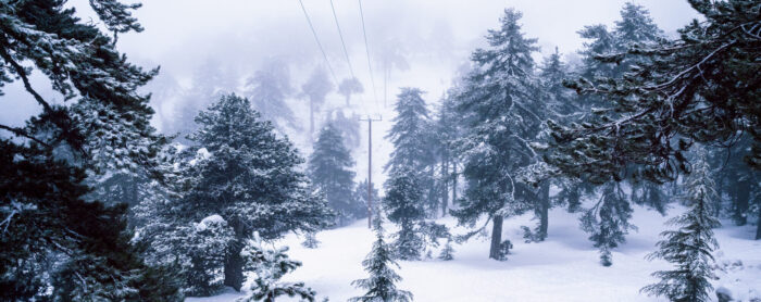 cb5027cd-gettyimages-1203613846-e1678910607307