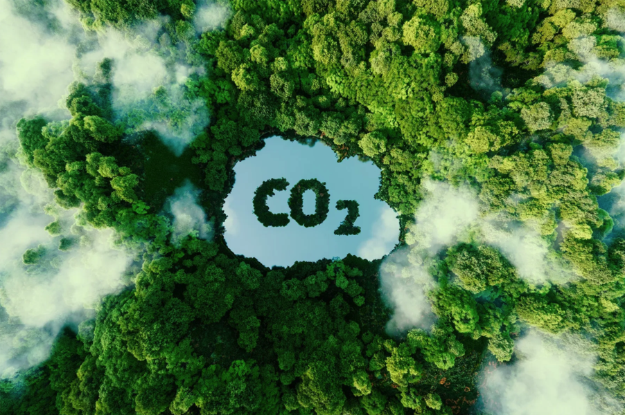co2-trees