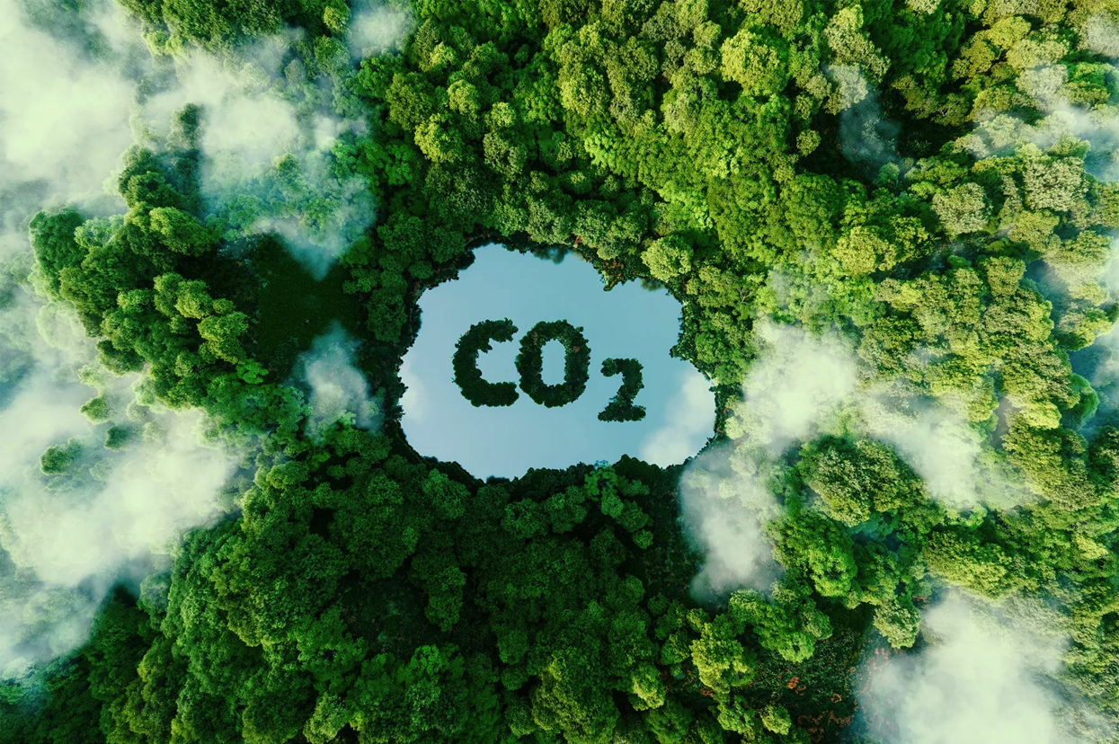 co2-trees