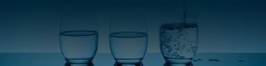 fbc268c2-past_www_header