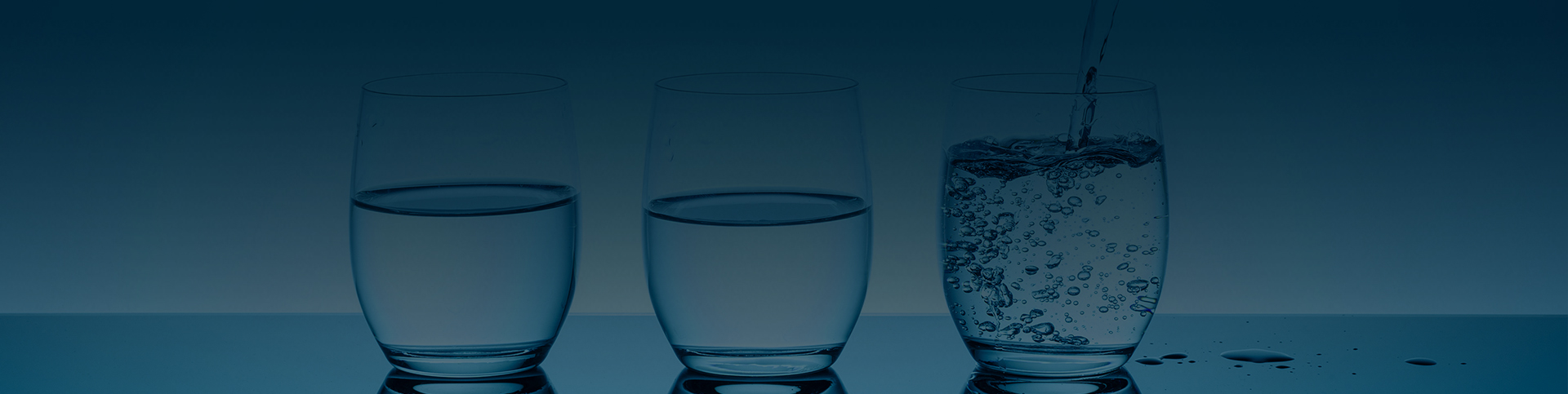 fbc268c2-past_www_header