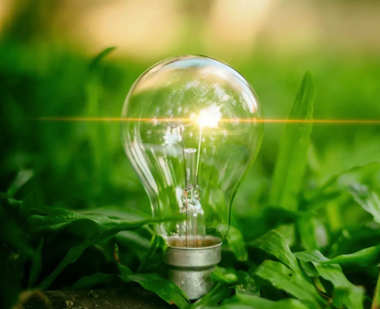 lightbulb