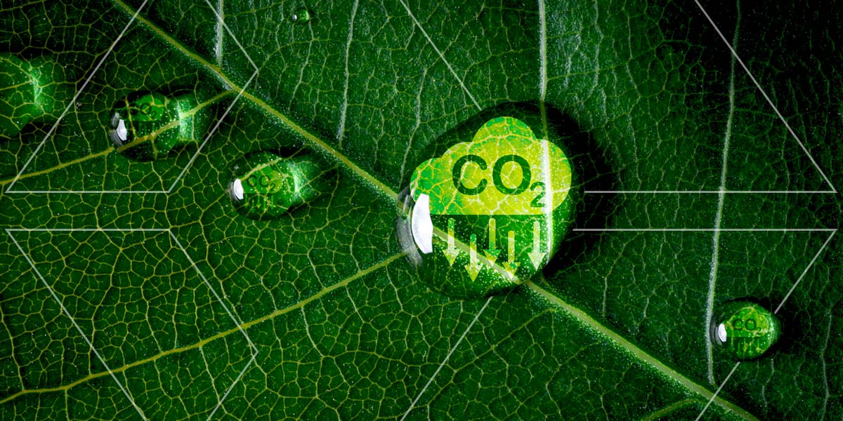 01-decarbonization-101