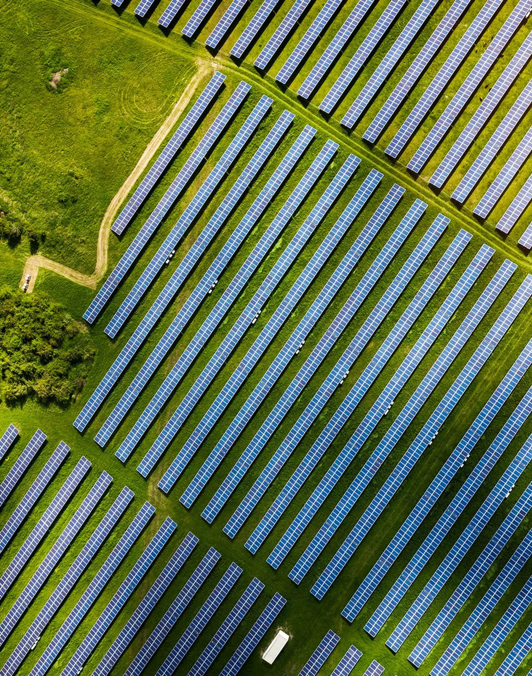 1.-602ed7f8-trc-renewables-solar-panels-aerial-1024x1300-1