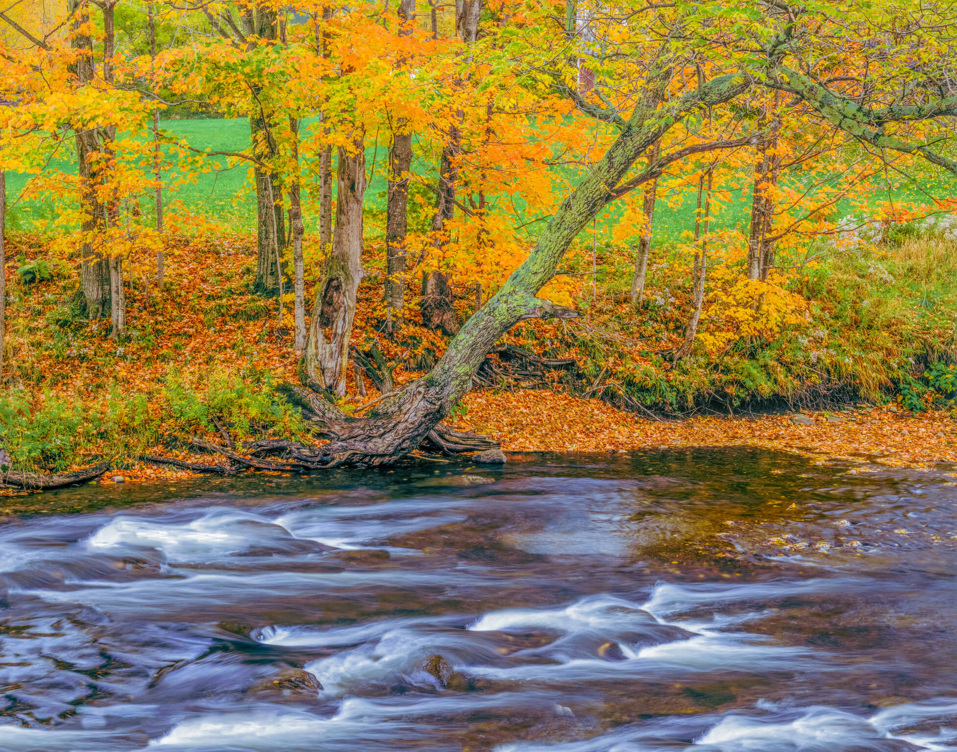 125c87ed-saturated-foliage-river-1016909682