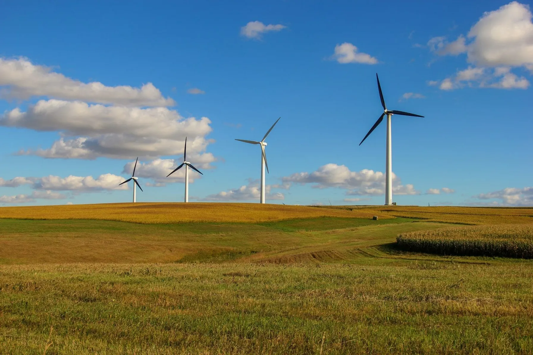 4.-07ee073e-trc-onshore-wind-hero
