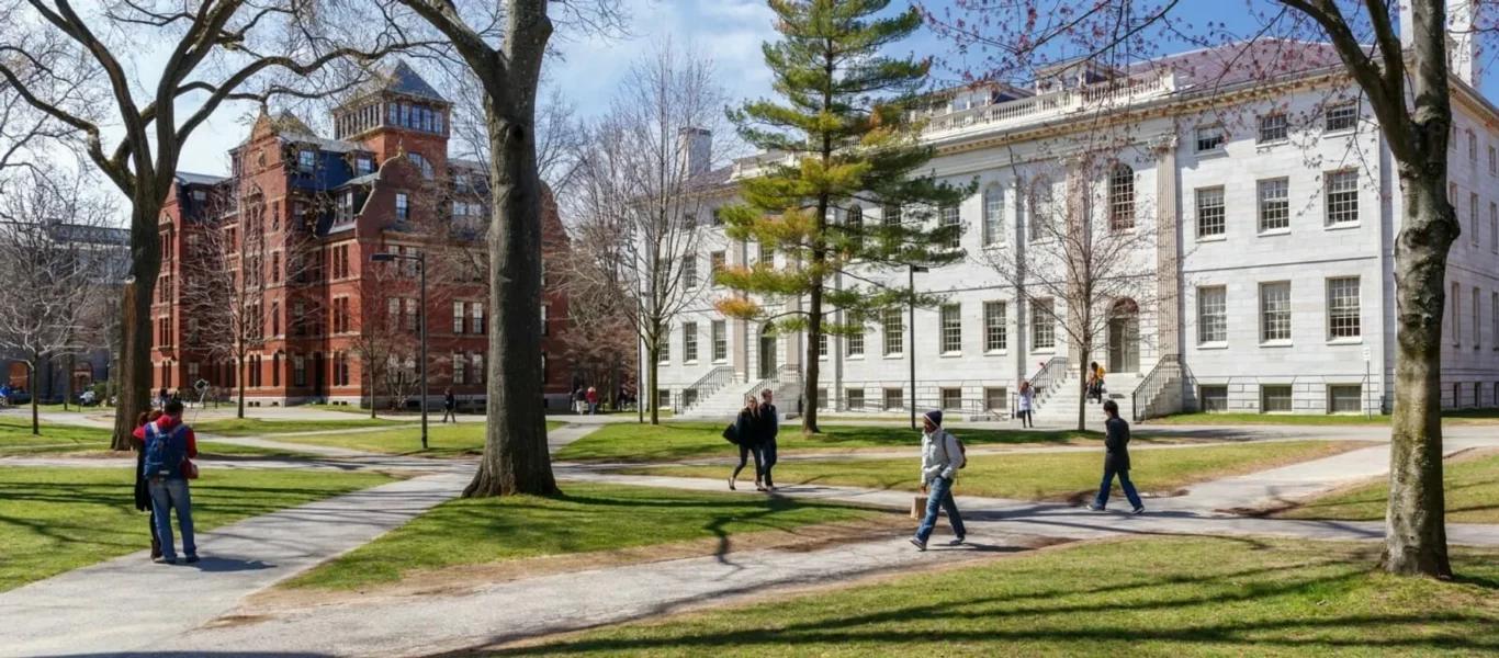 4.-47aabd11-02.04.004-education_m.14