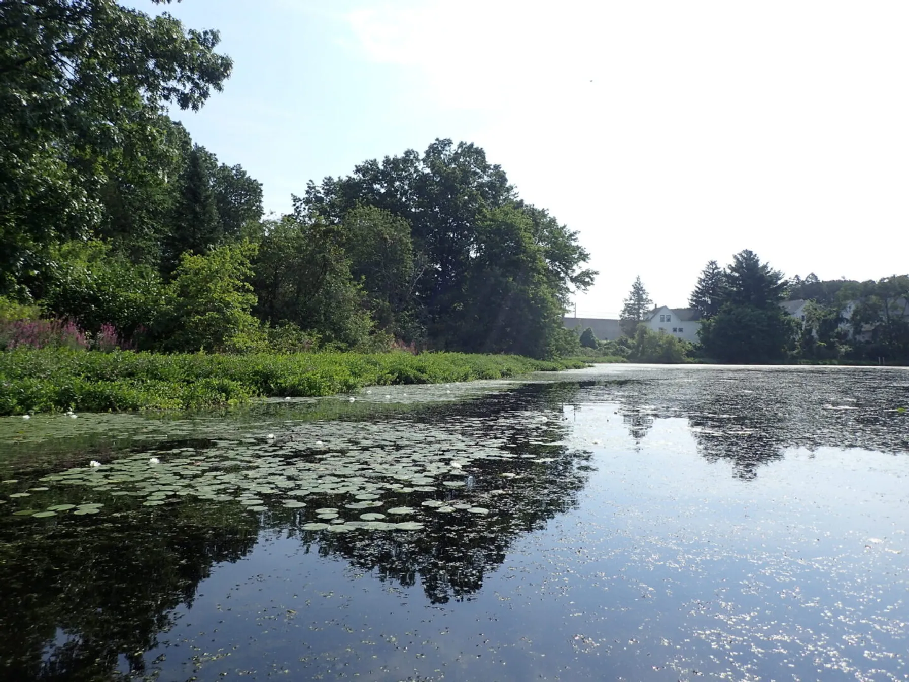 6.-6408ee96-warners-pond-public-access-improvements-madcr-1440x1080-1