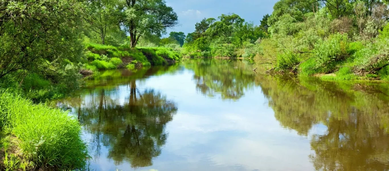 f31f211e-02.05.001-water-resources_m