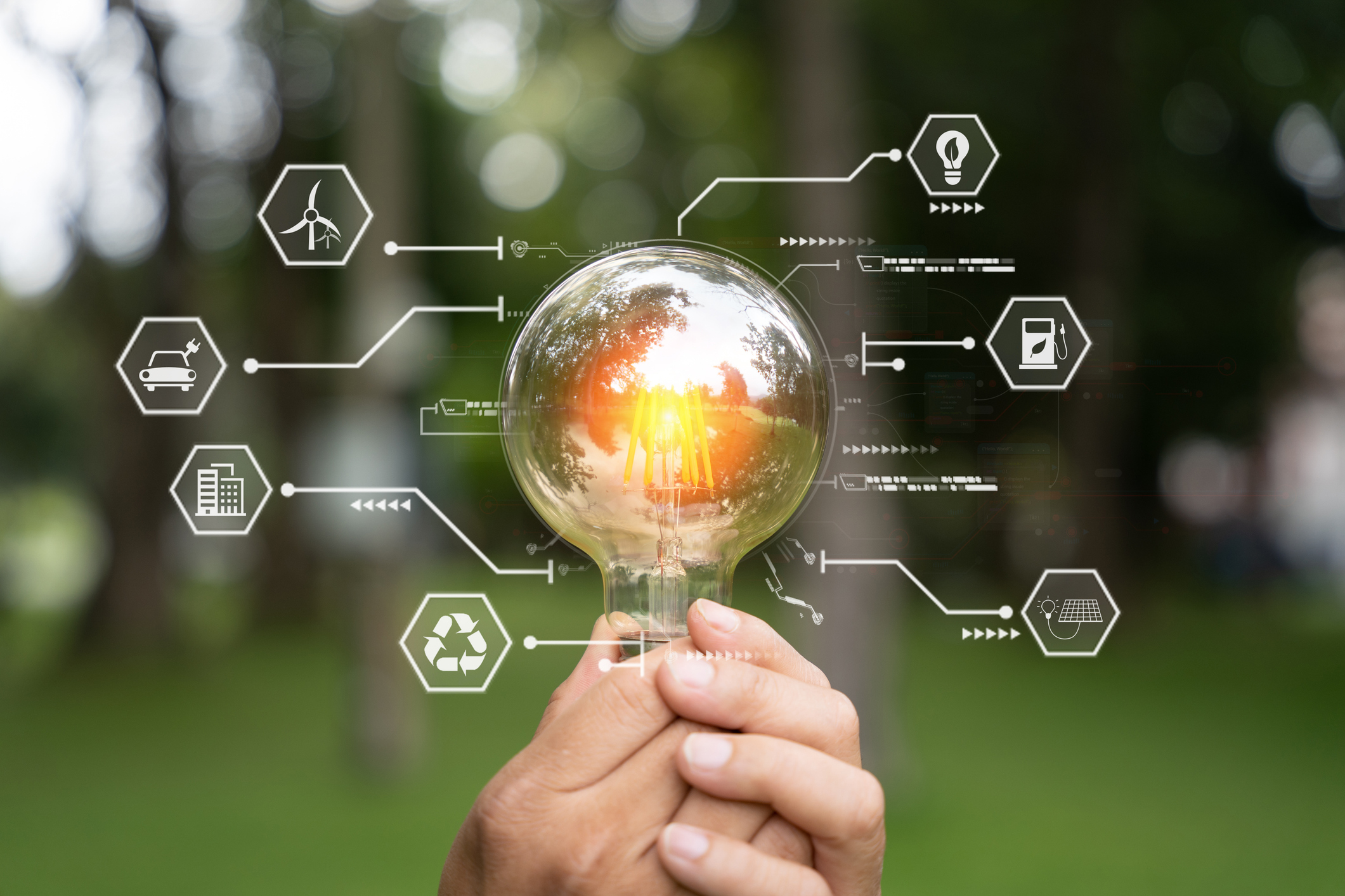 Holding a light bulb against nature on green leaf with energ…