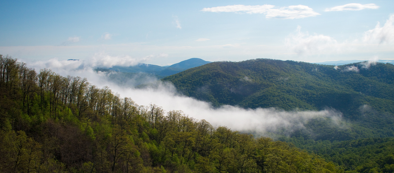 dd2a18a9-blacksburg-va
