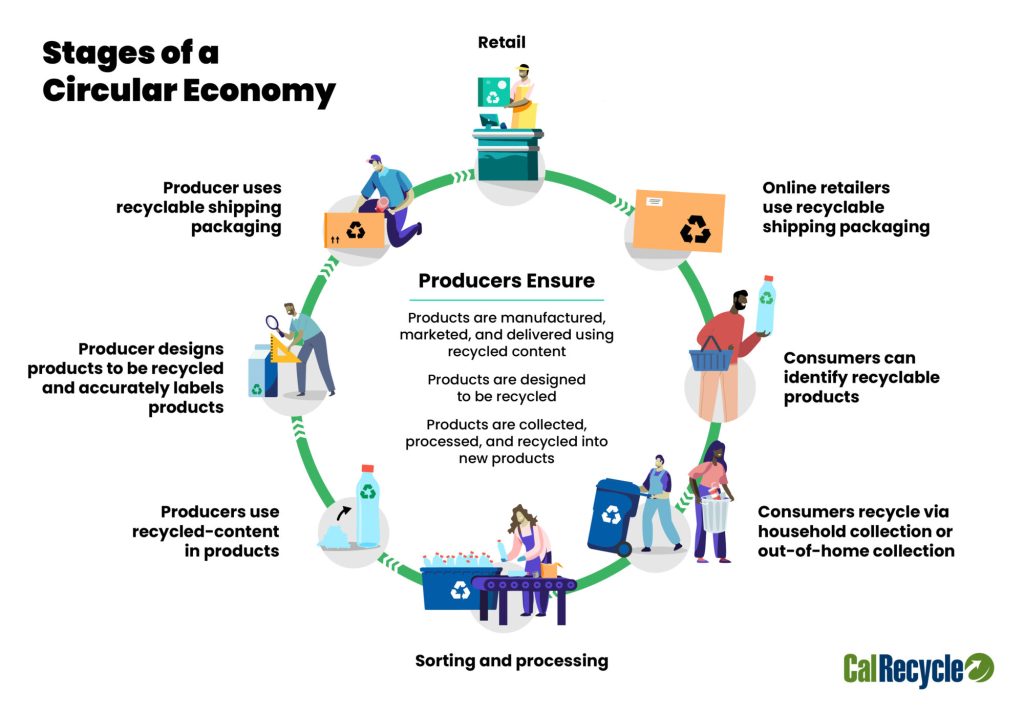Cycle graph showing a circle loop titled Stages of a Circular Economy, with looping steps: Retail, Online retailers use recyclable shipping packaging, Consumers can identify recyclable products, Consumers recycle via household collection or out-of-home collection, Sorting and processing, Producers use recycled-content in products, Producer designs products to be recycled and accurately labels products, and Producer uses recyclable shipping packaging. In the center it says: Producers Ensure Products are manufactured, marketed, and delivered using recycled content. Products are designed to be recycled. Products are collected, processed, and recycled into new products.
