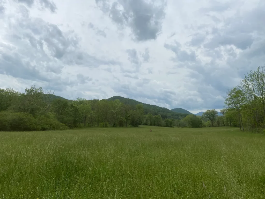 Archaeological-Survey_b-scaled-1