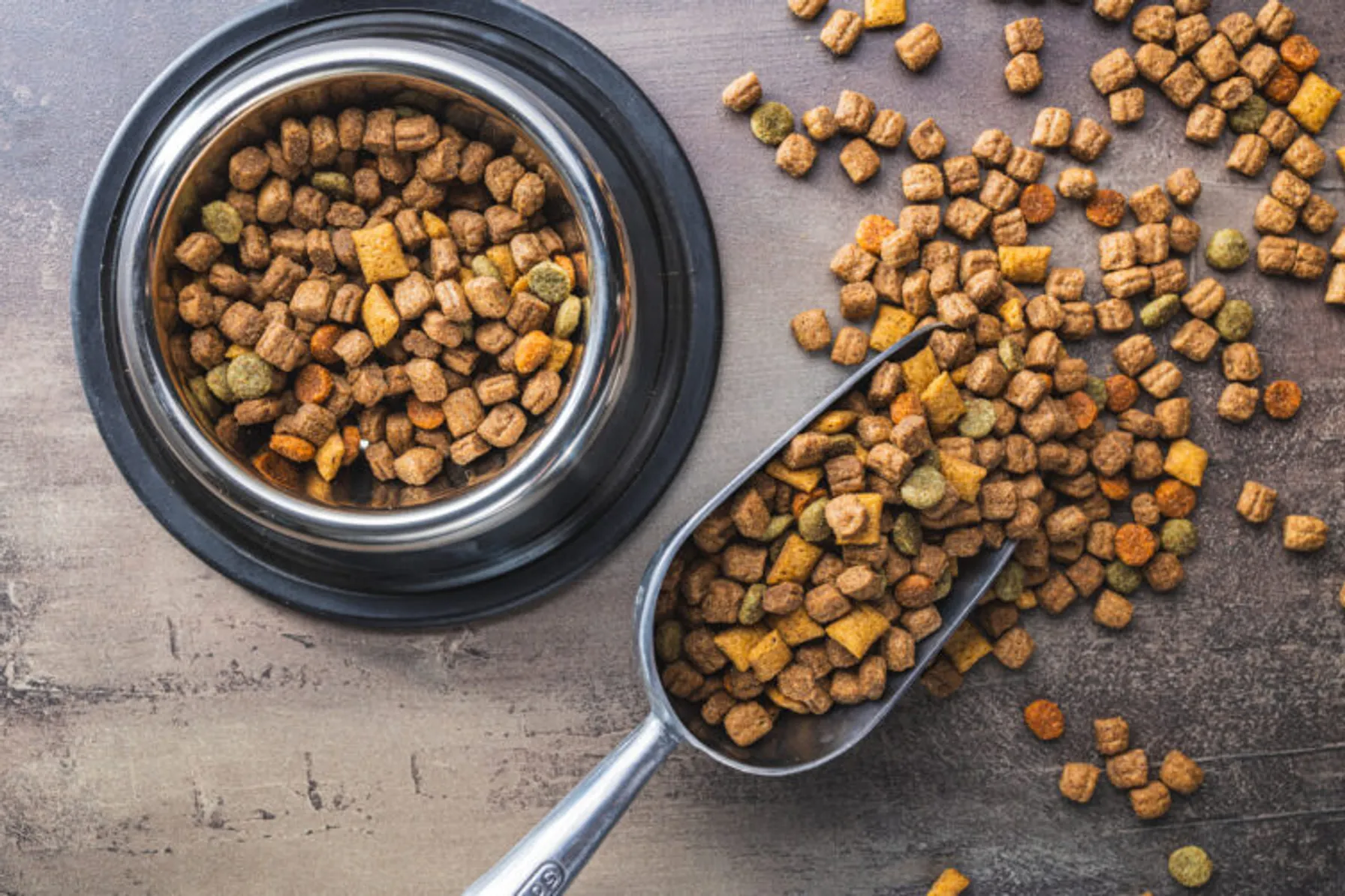 Dry-kibble-pet-food.-Dog-or-cat-food-on-old-table-1498237967-753x502-1