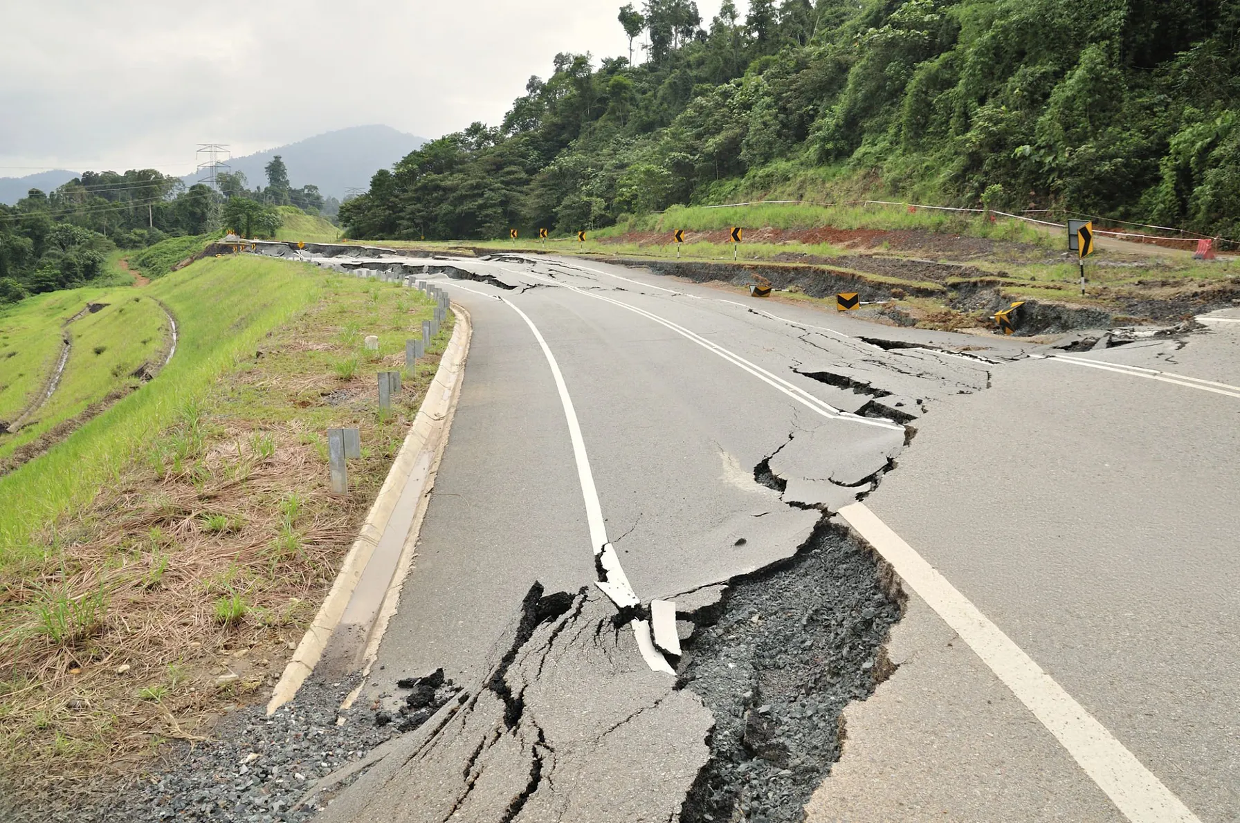 gettyimages-465027686-2048x2048-1