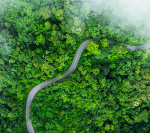 Environmental and Sustainability Consultancy Firms.