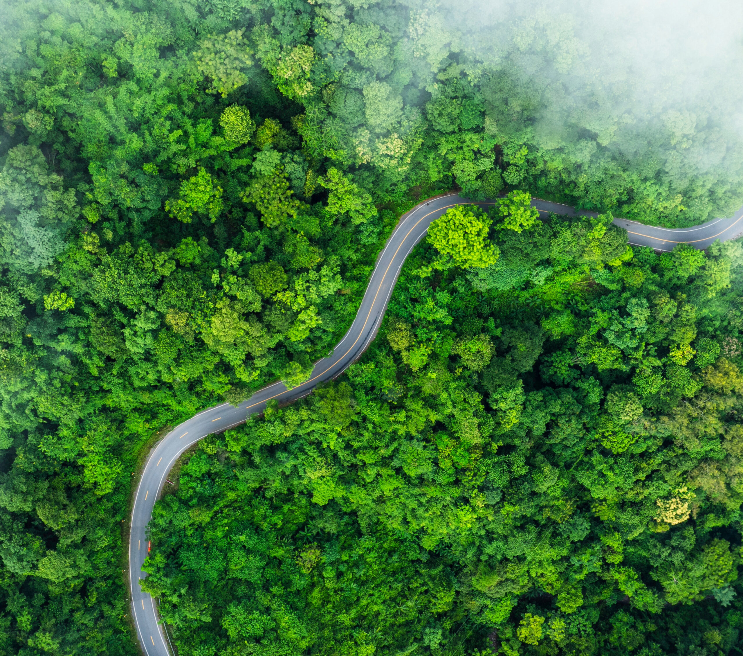 Environmental and Sustainability Consultancy Firms.