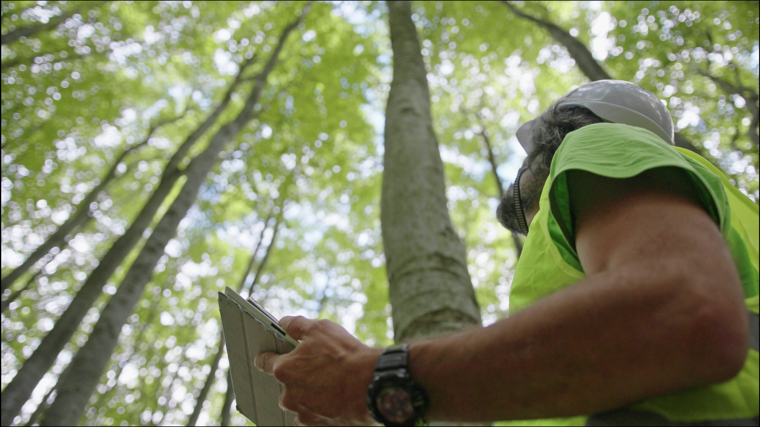 Ecologist-on-fieldwork-1323675815-scaled