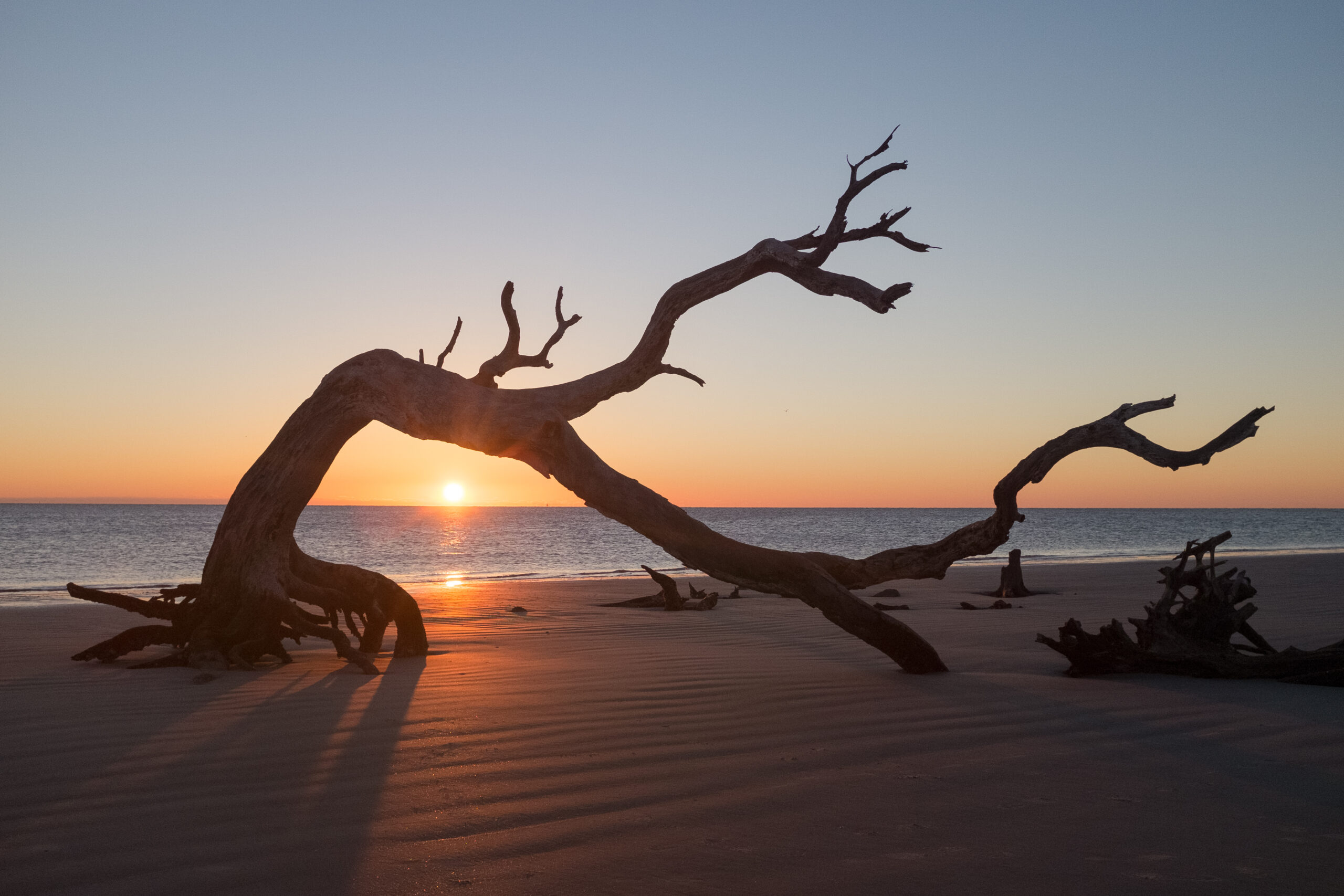 GettyImages-653248506-scaled